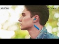 Sony WI-C300 Wireless In-ear Headphones